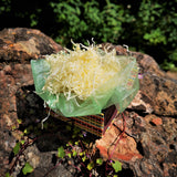 Vintage Women's Advance Textured Gold Plated Quartz Watch