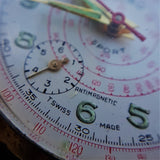 Rego Telemeter